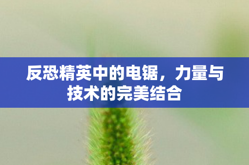 反恐精英中的电锯，力量与技术的完美结合