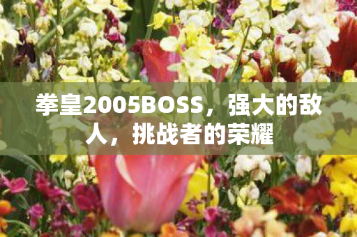 拳皇2005BOSS,强大的敌人,挑战者的荣耀 拳皇2005BOSS,强大的敌人,挑战者的荣耀