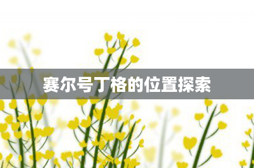 赛尔号丁格的位置探索