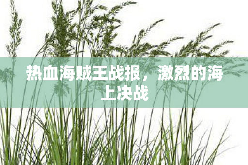 热血海贼王战报,激烈的海上决战 热血海贼王战报,激烈的海上决战