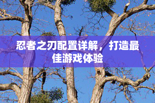 忍者之刃配置详解,打造最佳游戏体验 忍者之刃配置详解,打造最佳游戏体验