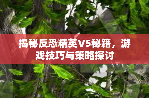 揭秘反恐精英V5秘籍,游戏技巧与策略探讨 揭秘反恐精英V5秘籍,游戏技巧与策略探讨