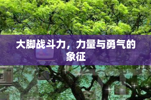 大脚战斗力,力量与勇气的象征 大脚战斗力,力量与勇气的象征