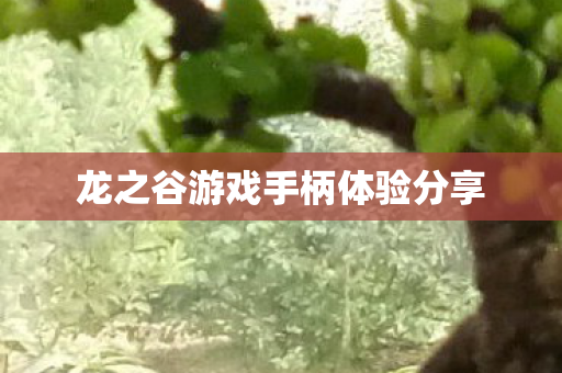 龙之谷游戏手柄体验分享 龙之谷游戏手柄体验分享