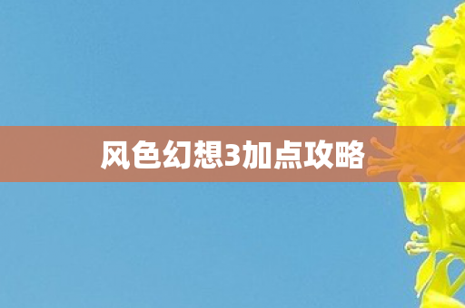 风色幻想3加点攻略 风色幻想3加点攻略