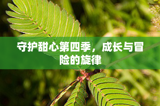 守护甜心第四季，成长与冒险的旋律
