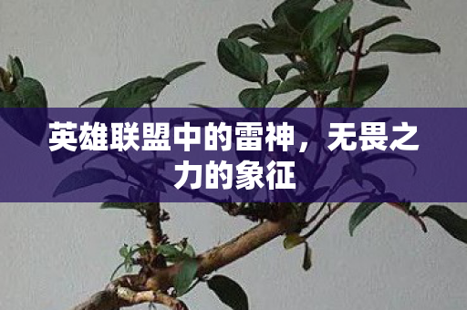 英雄联盟中的雷神，无畏之力的象征