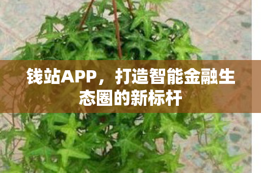 钱站APP,打造智能金融生态圈的新标杆 钱站APP,打造智能金融生态圈的新标杆
