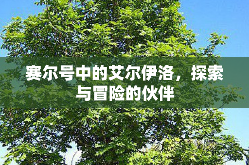 赛尔号中的艾尔伊洛,探索与冒险的伙伴 赛尔号中的艾尔伊洛,探索与冒险的伙伴