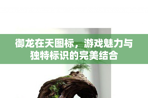 御龙在天图标,游戏魅力与独特标识的完美结合 御龙在天图标,游戏魅力与独特标识的完美结合