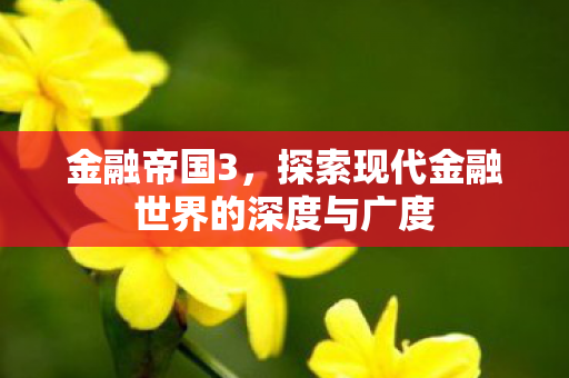 金融帝国3，探索现代金融世界的深度与广度