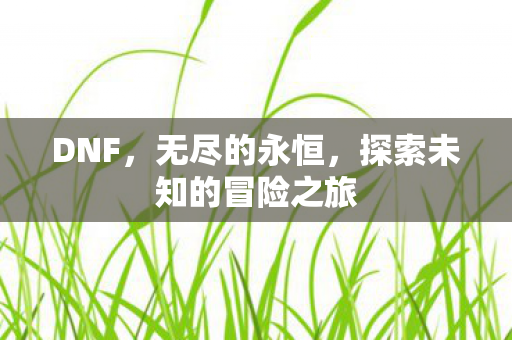 DNF，无尽的永恒，探索未知的冒险之旅