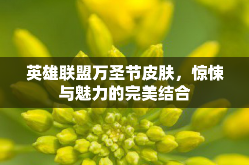 英雄联盟万圣节皮肤,惊悚与魅力的完美结合 英雄联盟万圣节皮肤,惊悚与魅力的完美结合