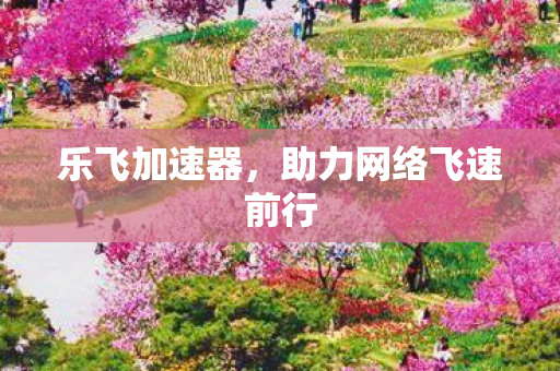 乐飞加速器,助力网络飞速前行 乐飞加速器,助力网络飞速前行