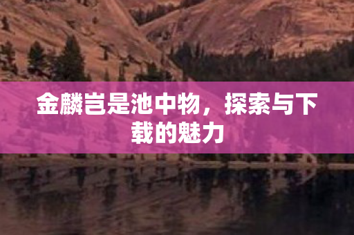 金麟岂是池中物，探索与下载的魅力
