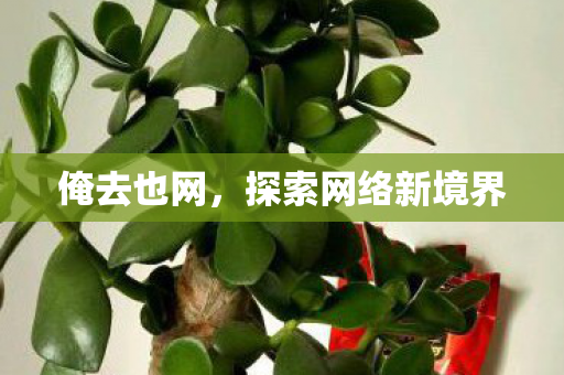 俺去也网,探索网络新境界 俺去也网,探索网络新境界