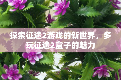探索征途2游戏的新世界,多玩征途2盒子的魅力 探索征途2游戏的新世界,多玩征途2盒子的魅力