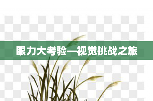 眼力大考验—视觉挑战之旅 眼力大考验—视觉挑战之旅