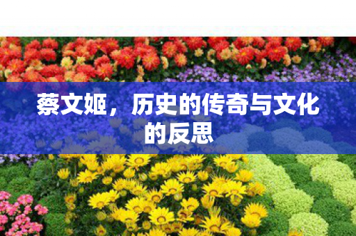 蔡文姬,历史的传奇与文化的反思 蔡文姬,历史的传奇与文化的反思