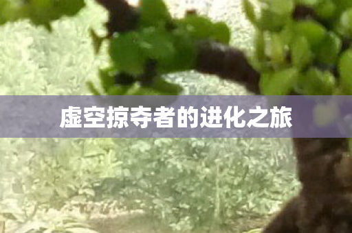 虚空掠夺者的进化之旅 虚空掠夺者的进化之旅
