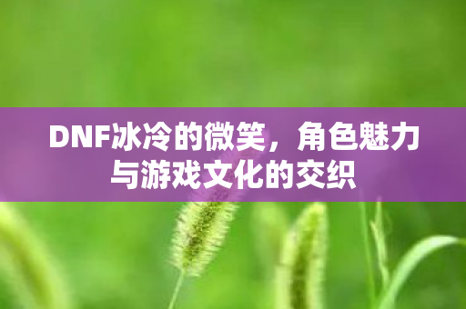 DNF冰冷的微笑,角色魅力与游戏文化的交织 DNF冰冷的微笑,角色魅力与游戏文化的交织