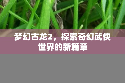 梦幻古龙2，探索奇幻武侠世界的新篇章