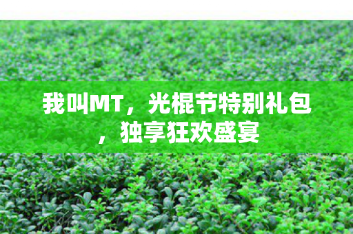 我叫MT,光棍节特别礼包,独享狂欢盛宴 我叫MT,光棍节特别礼包,独享狂欢盛宴