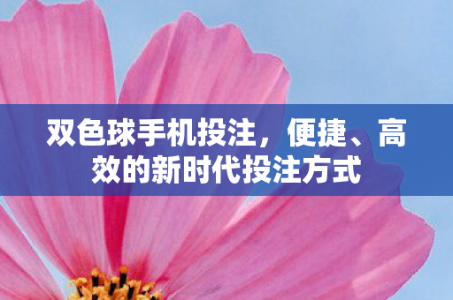 双色球手机投注,便捷、高效的新时代投注方式 双色球手机投注,便捷、高效的新时代投注方式