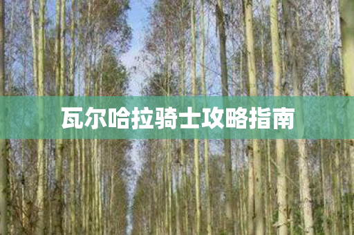 瓦尔哈拉骑士攻略指南 瓦尔哈拉骑士攻略指南