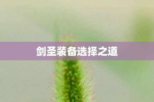剑圣装备选择之道 剑圣装备选择之道