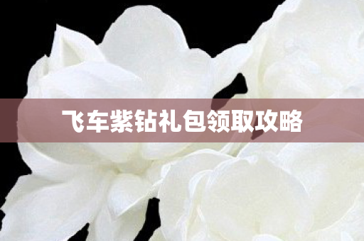 飞车紫钻礼包领取攻略 飞车紫钻礼包领取攻略