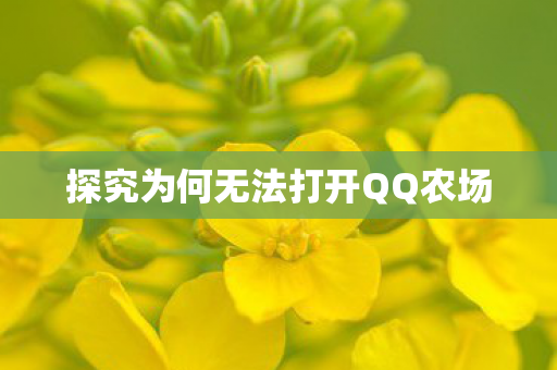 探究为何无法打开QQ农场 探究为何无法打开QQ农场