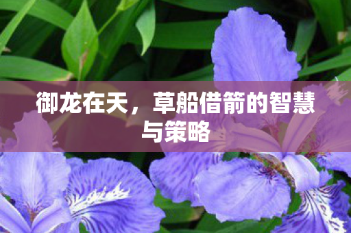 御龙在天,草船借箭的智慧与策略 御龙在天,草船借箭的智慧与策略