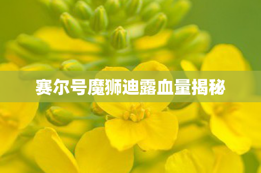 赛尔号魔狮迪露血量揭秘 赛尔号魔狮迪露血量揭秘