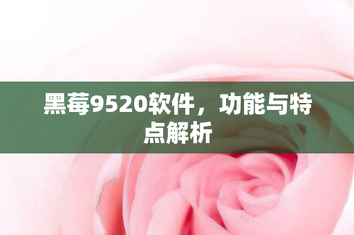 黑莓9520软件,功能与特点解析 黑莓9520软件,功能与特点解析