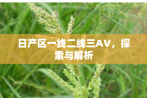 日产区一线二线三AV，探索与解析