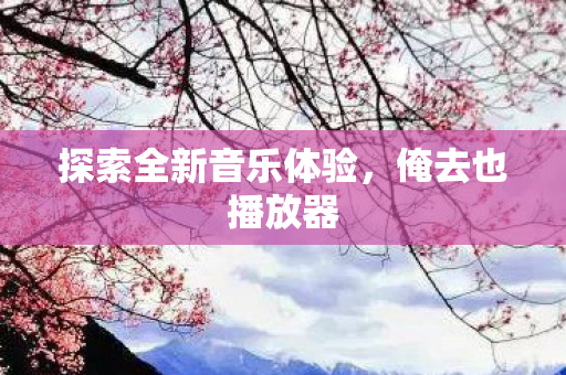 探索全新音乐体验，俺去也播放器