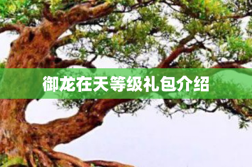 御龙在天等级礼包介绍