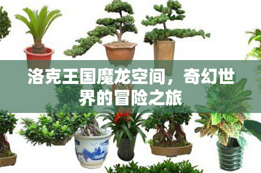 洛克王国魔龙空间,奇幻世界的冒险之旅 洛克王国魔龙空间,奇幻世界的冒险之旅