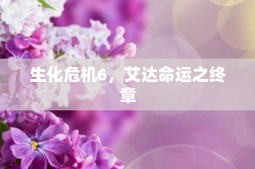 生化危机6,艾达命运之终章 生化危机6,艾达命运之终章