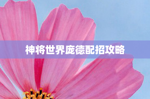 神将世界庞德配招攻略 神将世界庞德配招攻略