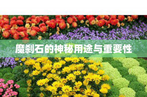 魔刹石的神秘用途与重要性 魔刹石的神秘用途与重要性