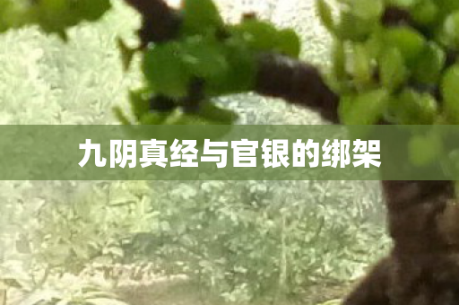 九阴真经与官银的绑架 九阴真经与官银的绑架