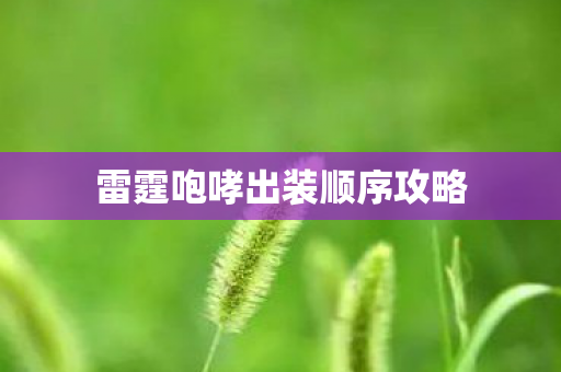 雷霆咆哮出装顺序攻略 雷霆咆哮出装顺序攻略
