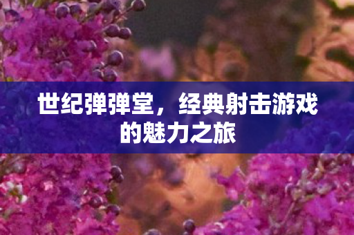 世纪弹弹堂,经典射击游戏的魅力之旅 世纪弹弹堂,经典射击游戏的魅力之旅