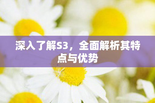 深入了解S3,全面解析其特点与优势 深入了解S3,全面解析其特点与优势