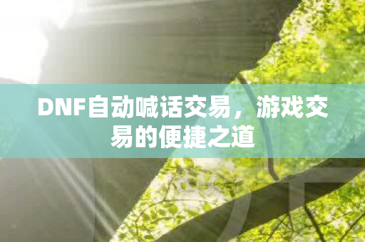 DNF自动喊话交易,游戏交易的便捷之道 DNF自动喊话交易,游戏交易的便捷之道