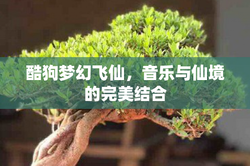 酷狗梦幻飞仙,音乐与仙境的完美结合 酷狗梦幻飞仙,音乐与仙境的完美结合