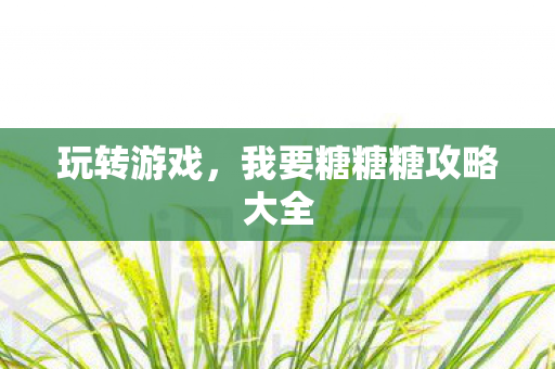 玩转游戏,我要糖糖糖攻略大全 玩转游戏,我要糖糖糖攻略大全