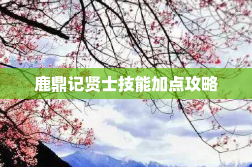 鹿鼎记贤士技能加点攻略 鹿鼎记贤士技能加点攻略